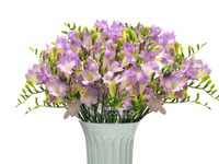 Фрезия лиловая