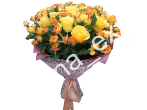 ЖадорДи..