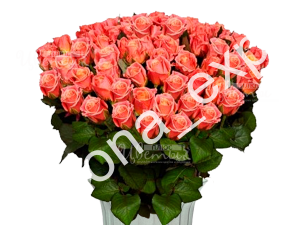 Розы поштучно