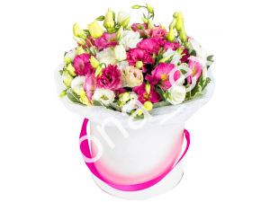 Фламинго